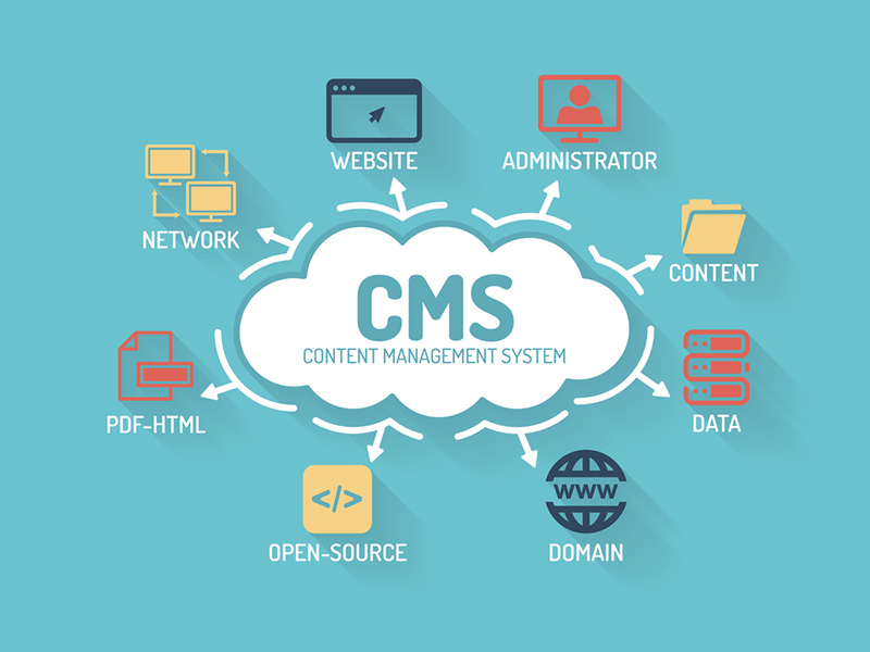 Custom CMS Development Services in Riyadh - Scalable Content Management Solutions